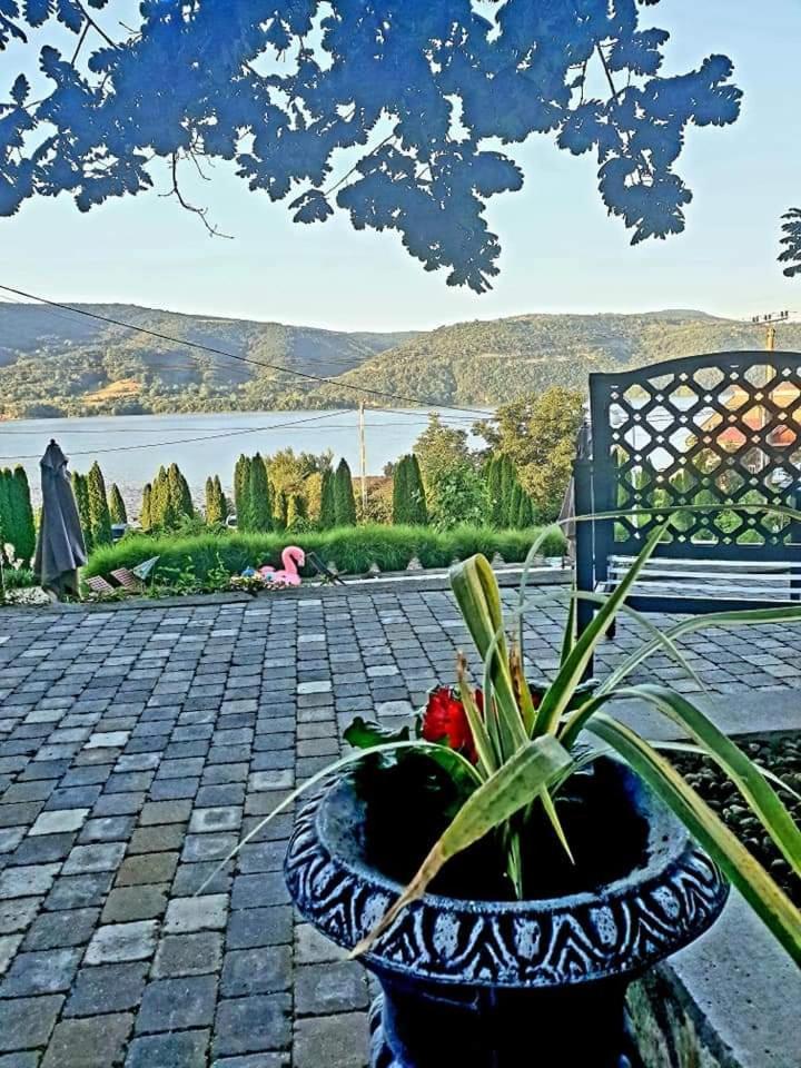 Pensiunea Casa Mircea & Restaurant Ieşelniţa Eksteriør bilde