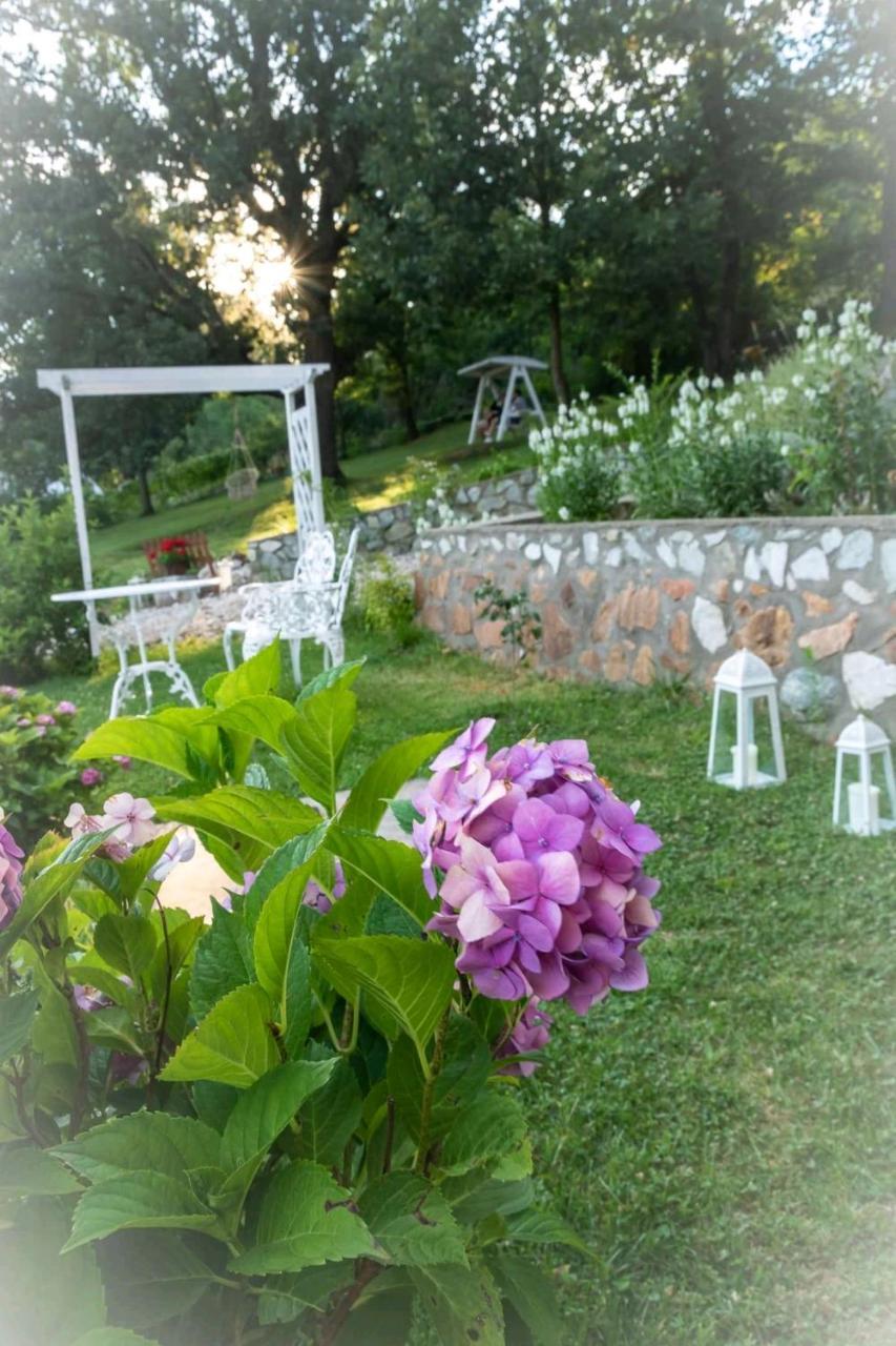 Pensiunea Casa Mircea & Restaurant Ieşelniţa Eksteriør bilde