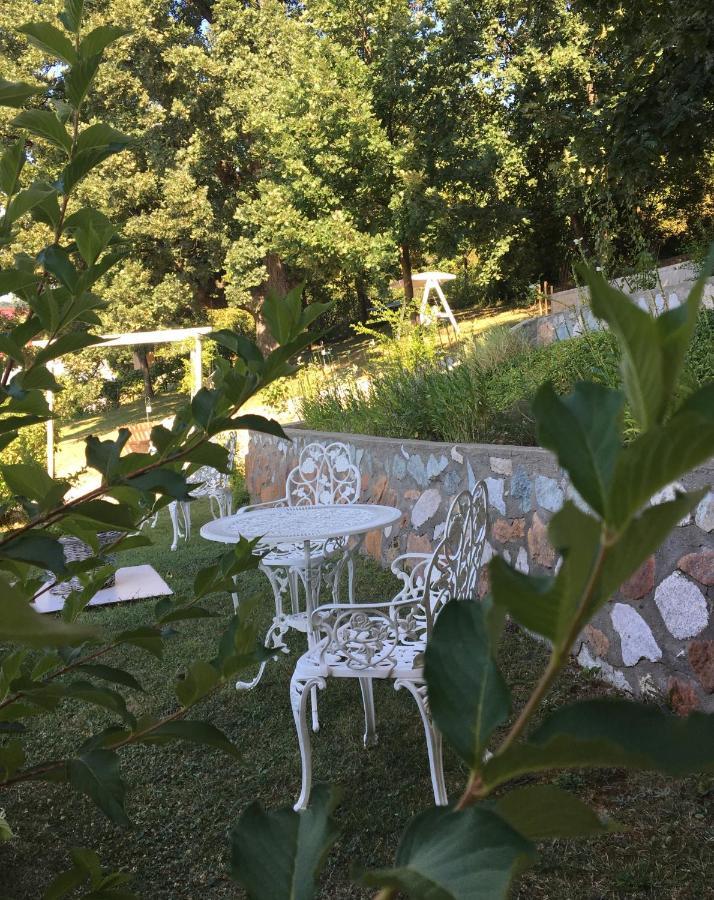 Pensiunea Casa Mircea & Restaurant Ieşelniţa Eksteriør bilde